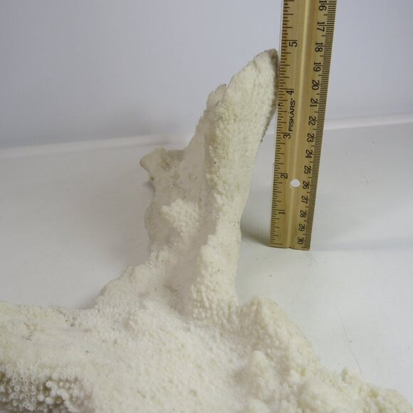 (1) solid Piece of REAL Coral over 3lbs & 13" long - Picture 7 of 14